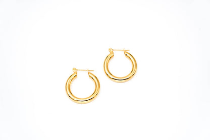 Orli Hoop Earrings - Jewels By Divine