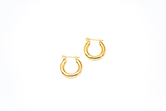 Orli Hoop Earrings - Jewels By Divine