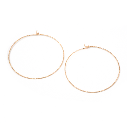 Adina Hoops